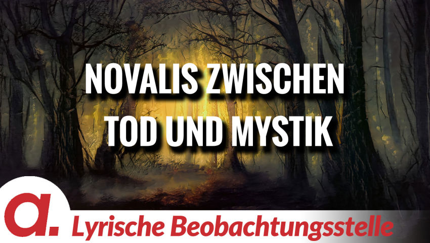 Boostern mit Novalis | Von Paul Clemente thumbnail