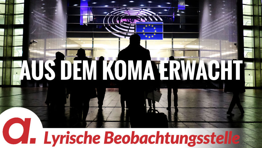 Aus dem Koma erwacht | Von Anna Zollner thumbnail