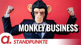 Monkey Business | Von Paul Schreyer by apolut