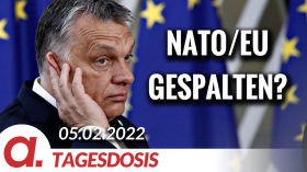 NATO/EU gespalten? | Von Wolfgang Effenberger by apolut